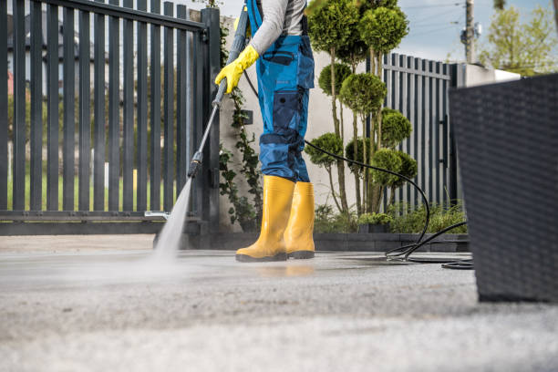 Best Roof Washing  in Parkway, CA